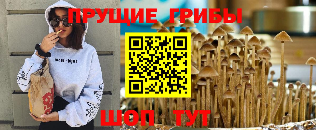 Галлюциногенные грибы Cubensis  Псилоцибиновые грибы ЛСД  Нефтекамск  Вход с VPN 