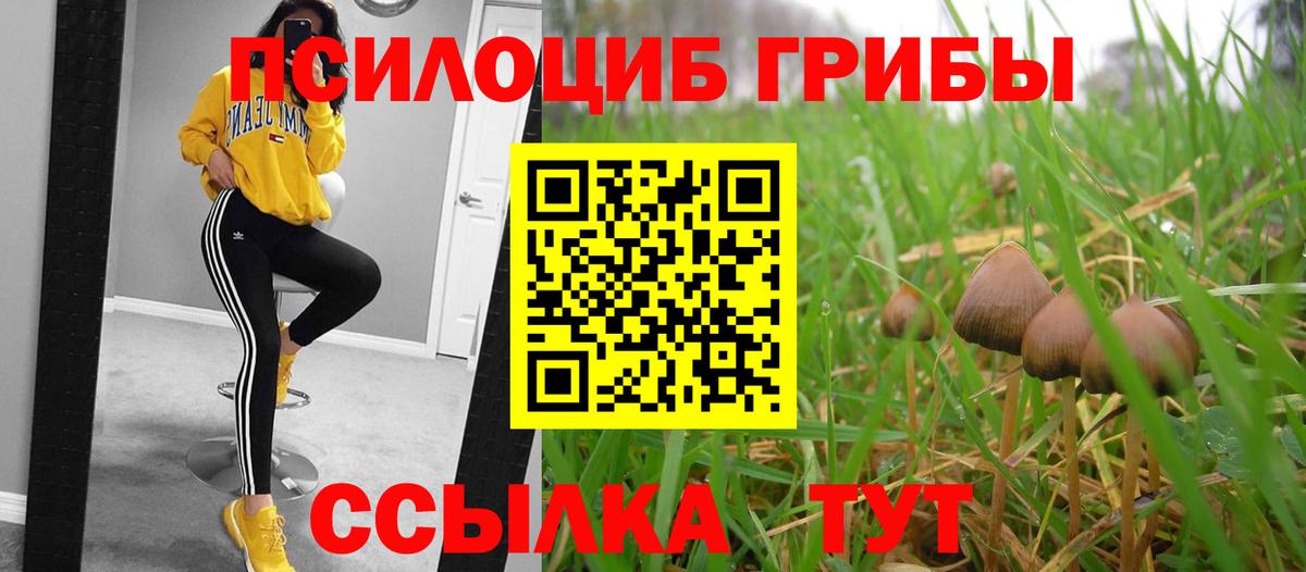 Псилоцибиновые грибы ЛСД Нефтекамск